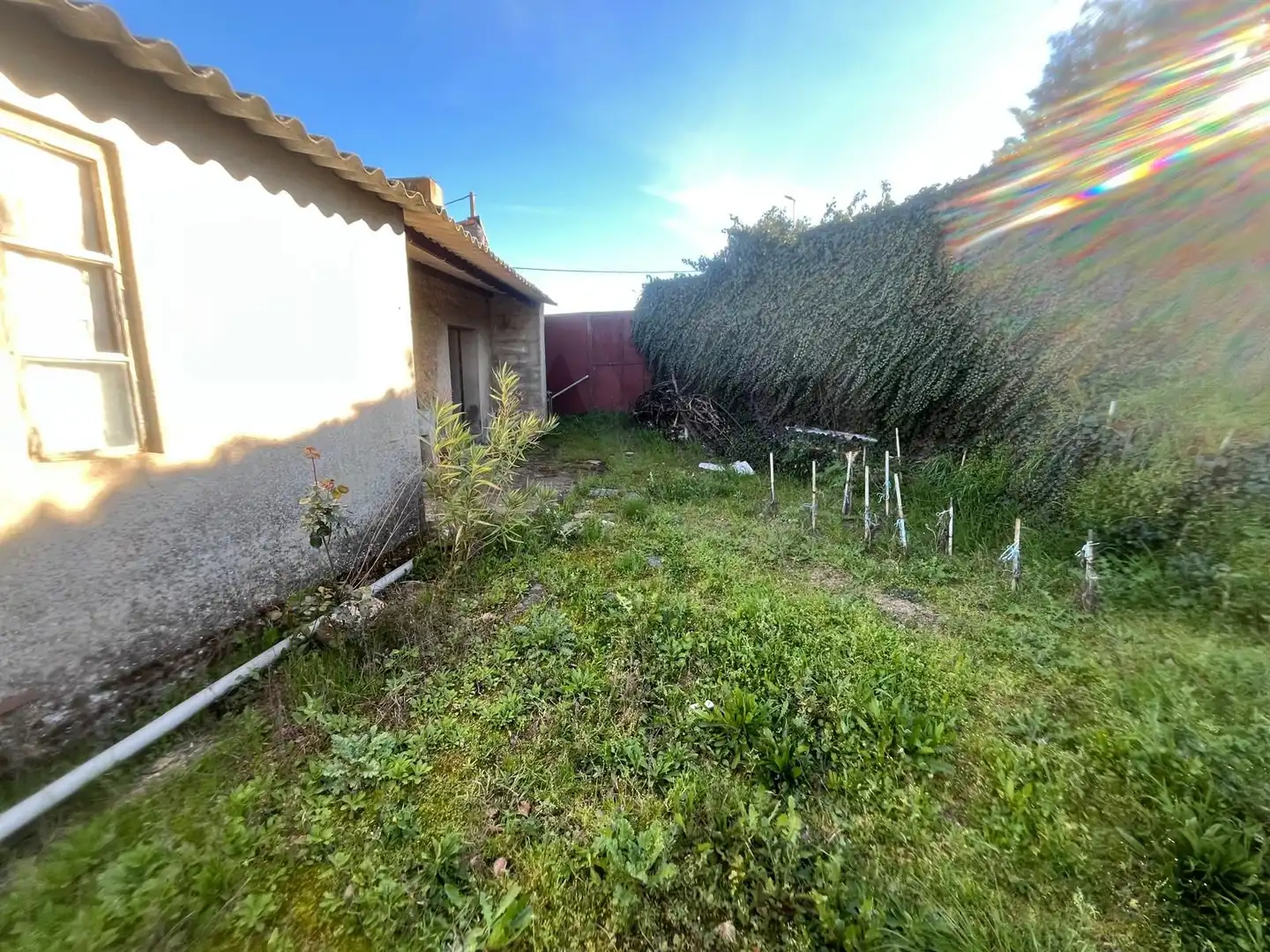 Finca rústica en venda en El Bodón 