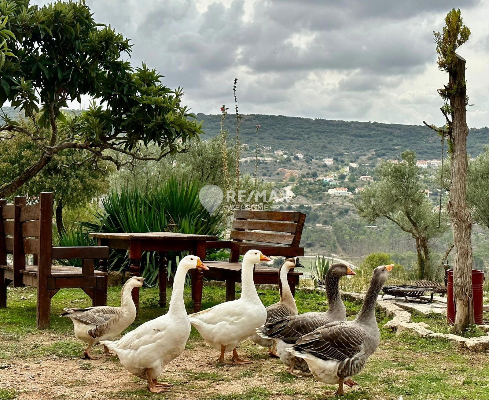 Jardí de Casa o xalet en venda en Ambite amb Calefacció, Terrassa i Piscina