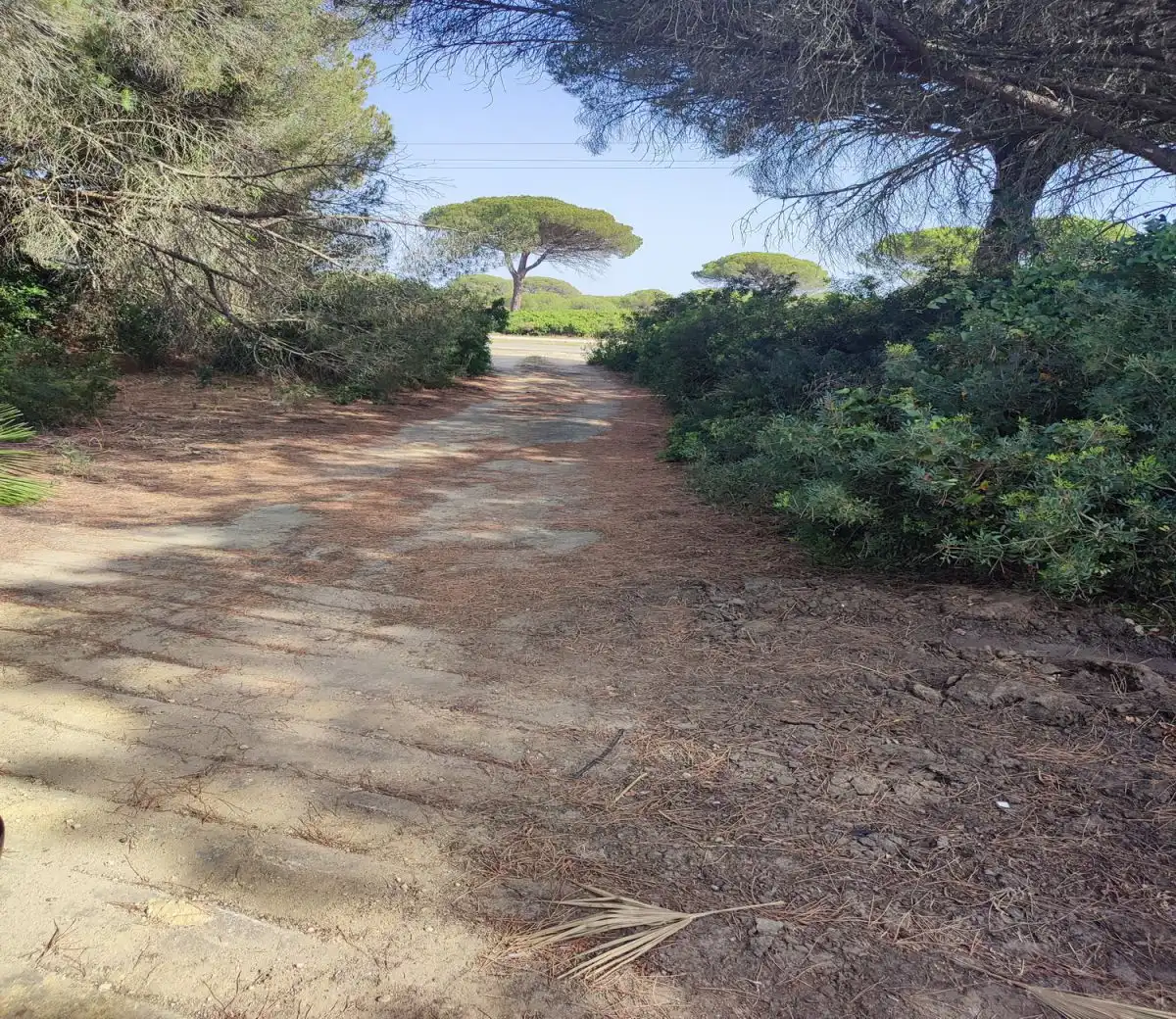 Terrenys i solars en venda a Roche, imagen 11