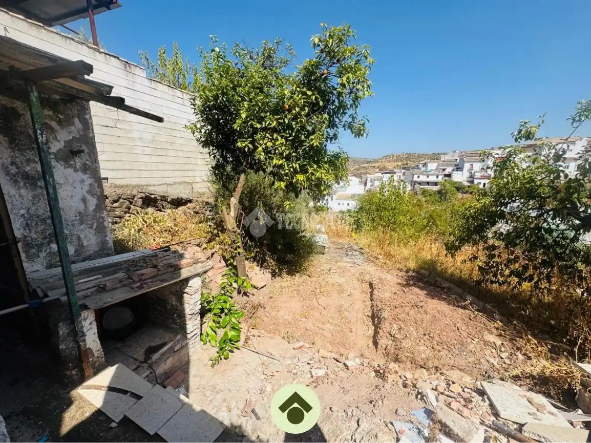 Detached homes for sale in Montoro