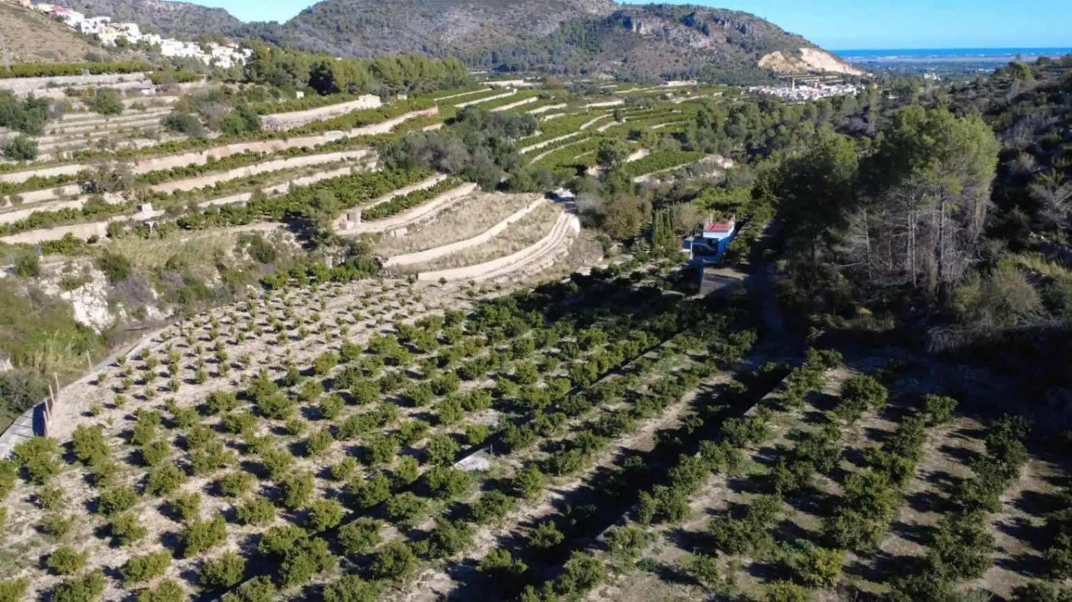 Terrenys i solars en venda a L'Atzúbia, imagen 2