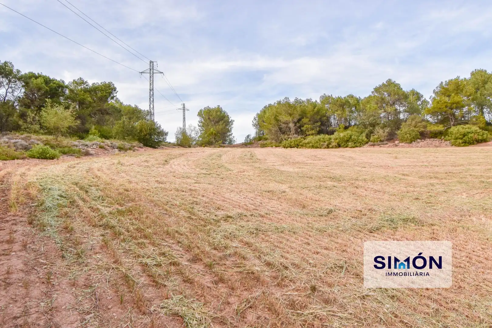 Finca rústica en venta en Veciana