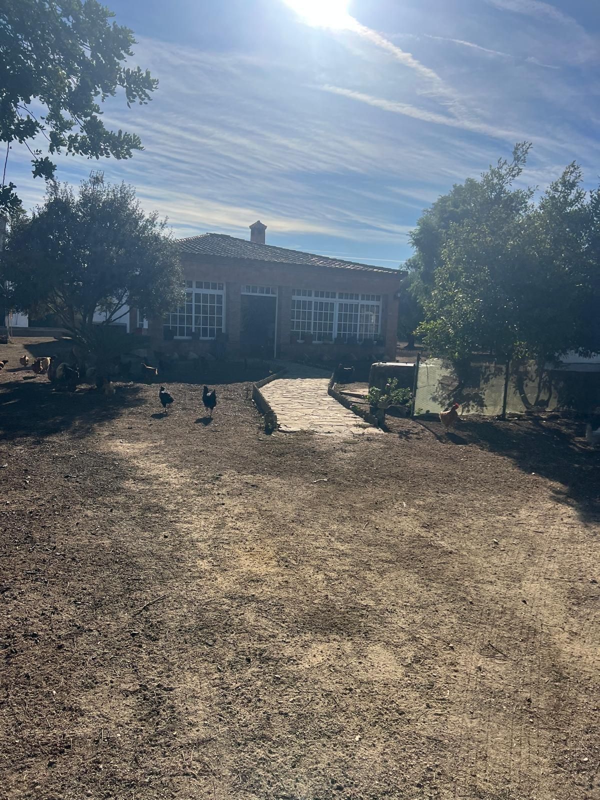 Vista exterior de Finca rústica en venda en Medina Sidonia