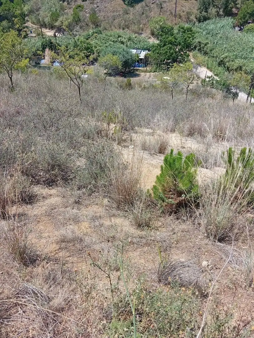 Terreno en venta en Calella