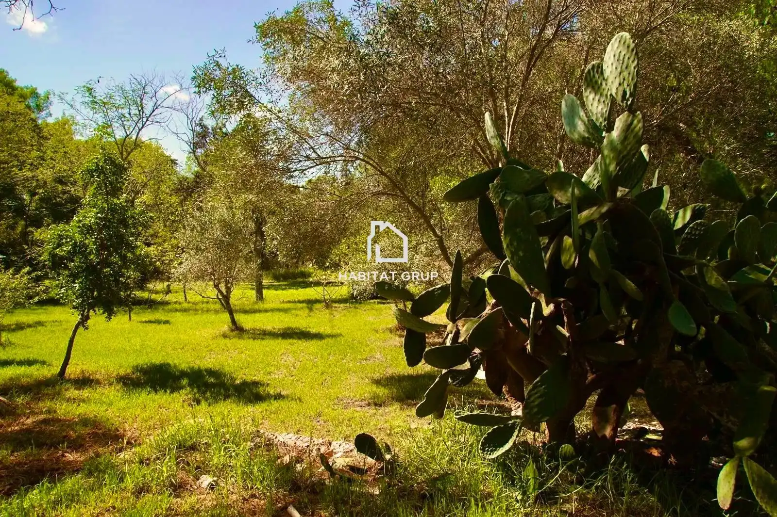 Casa o chalet en venta en Maó - Mahón con Calefacción, Jardín privado y Terraza