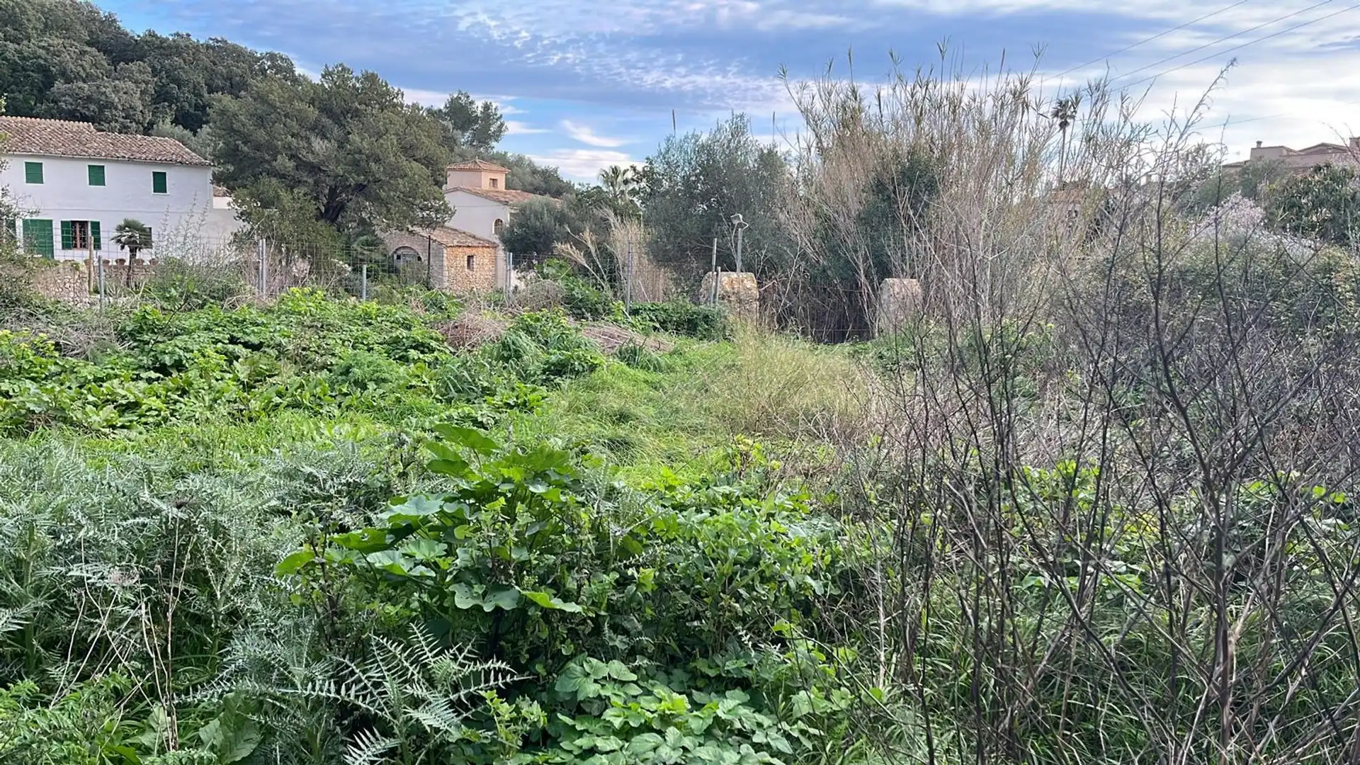 Terreny residencial en venda a Puigpunyent, imagen 13