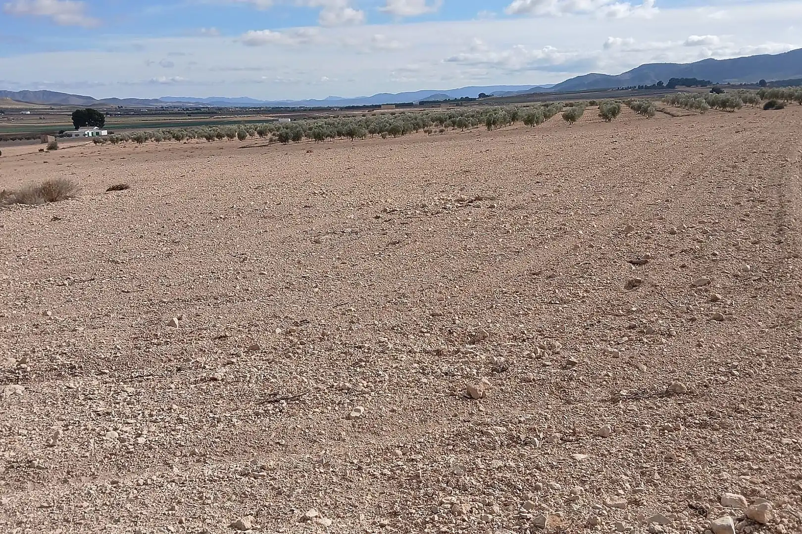 Residencial en venda en Yecla