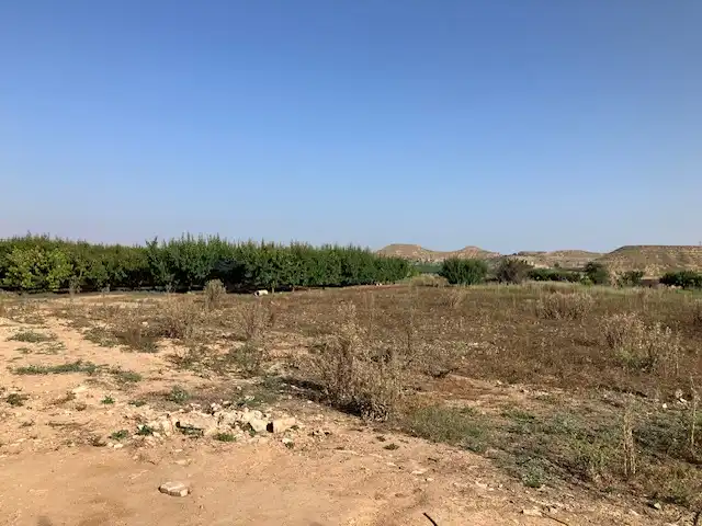 Terreni e lotti in vendita a Fraga, imagen 10