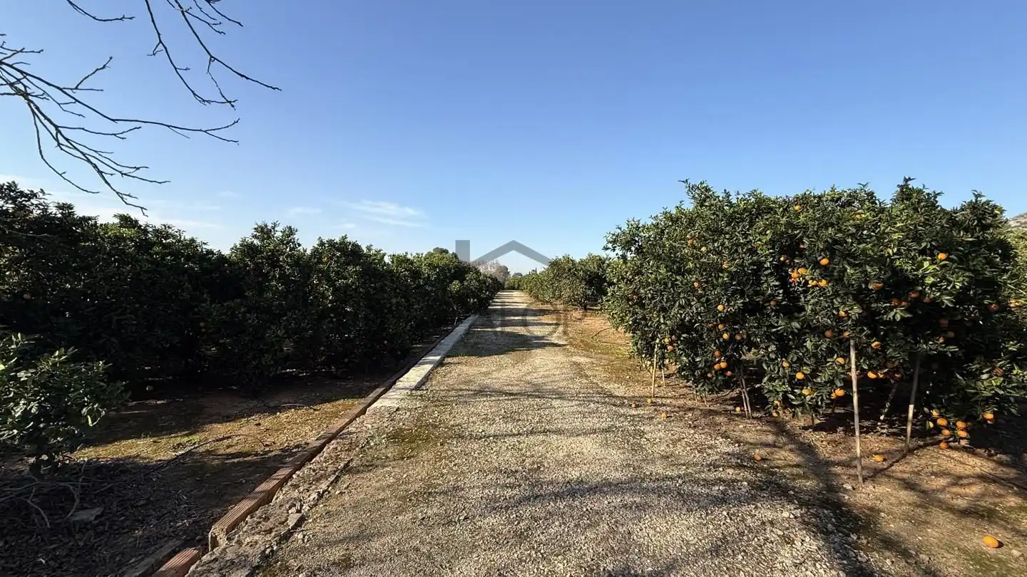 Terrenys i solars en venda a Carcaixent, imagen 4