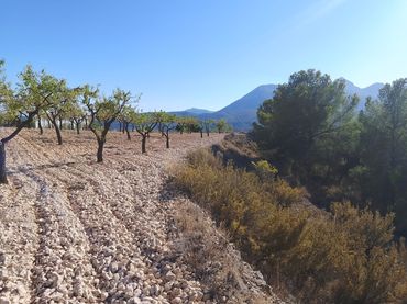 Terreno rustico in vendita a Partida Torrosellas