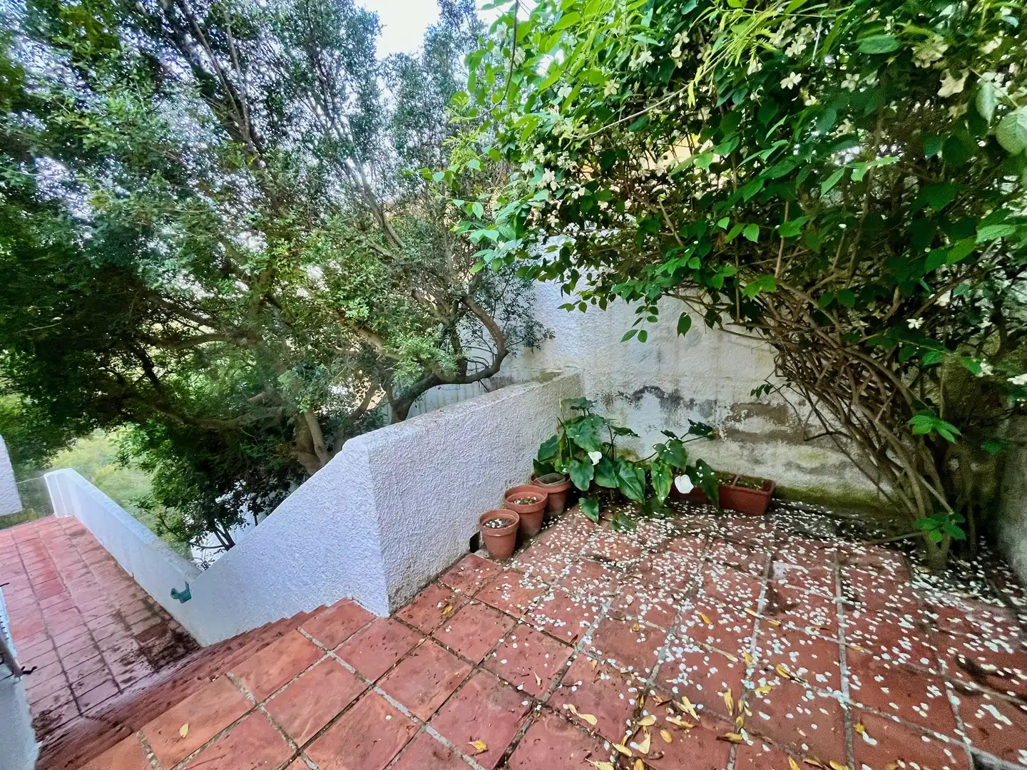 Casa amb piscina en venda a Alcossebre, imagen 19