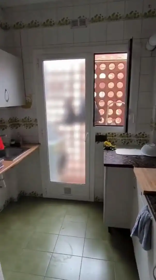 Kitchen of Apartments for share in Sants - Montjuïc