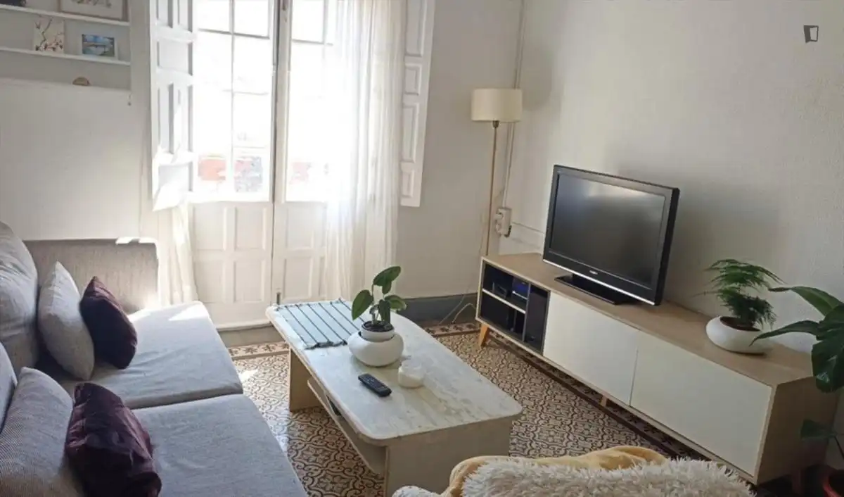 Sala de estar de Apartamento para compartir en Sevilla con Aire acondicionado, Amueblado y Lavadora