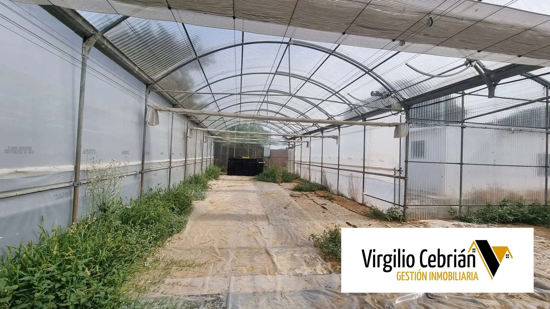 Casa rústica amb jardí en venda a Las Tres Piedras - Costa Ballena, imagen 14