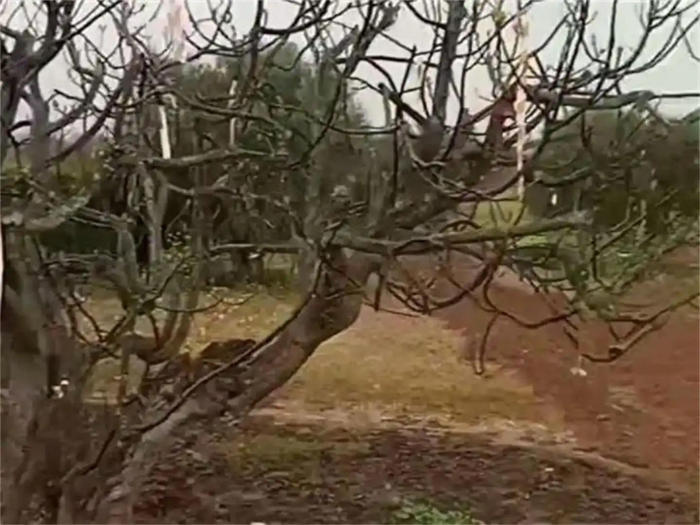 Jardí de Residencial en venda en Montearagón