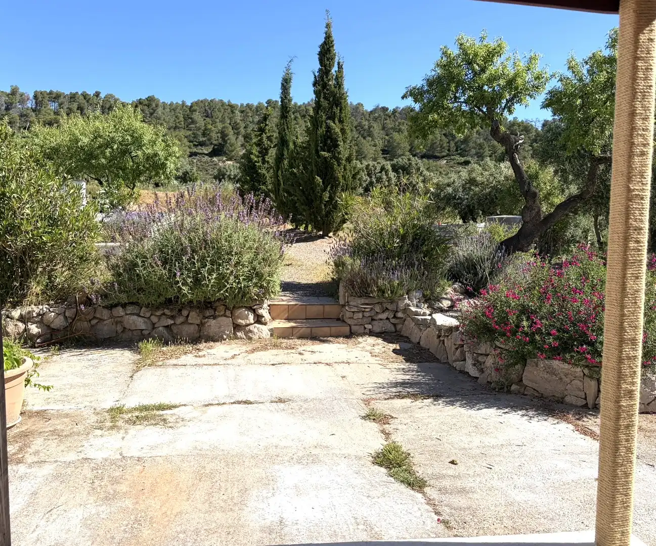 Jardí de Finca rústica en venda en Ascó amb Aire condicionat, Calefacció i Piscina