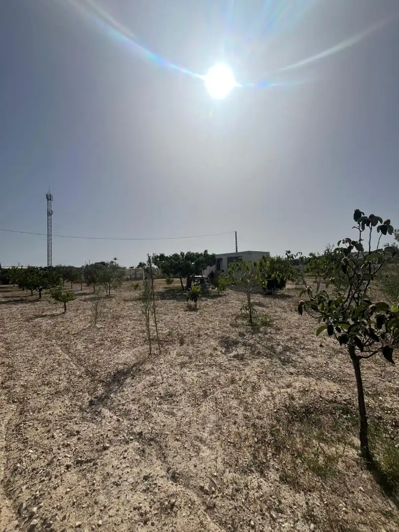 Rural land for sale in Avenida de la Cruz, imagen 6