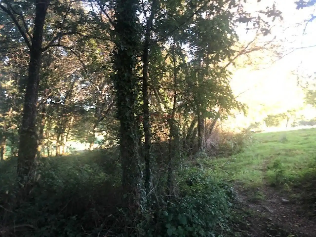 Terreni e lotti in vendita a Nogueira de Ramuín, imagen 3