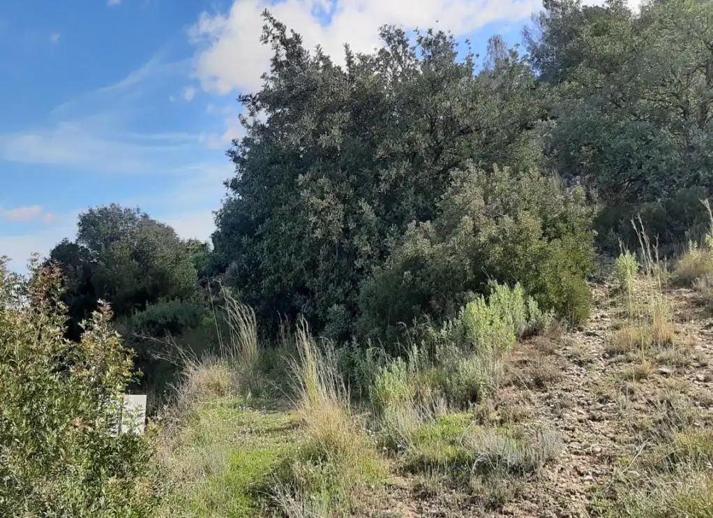 Terreno en venta en Carrícola
