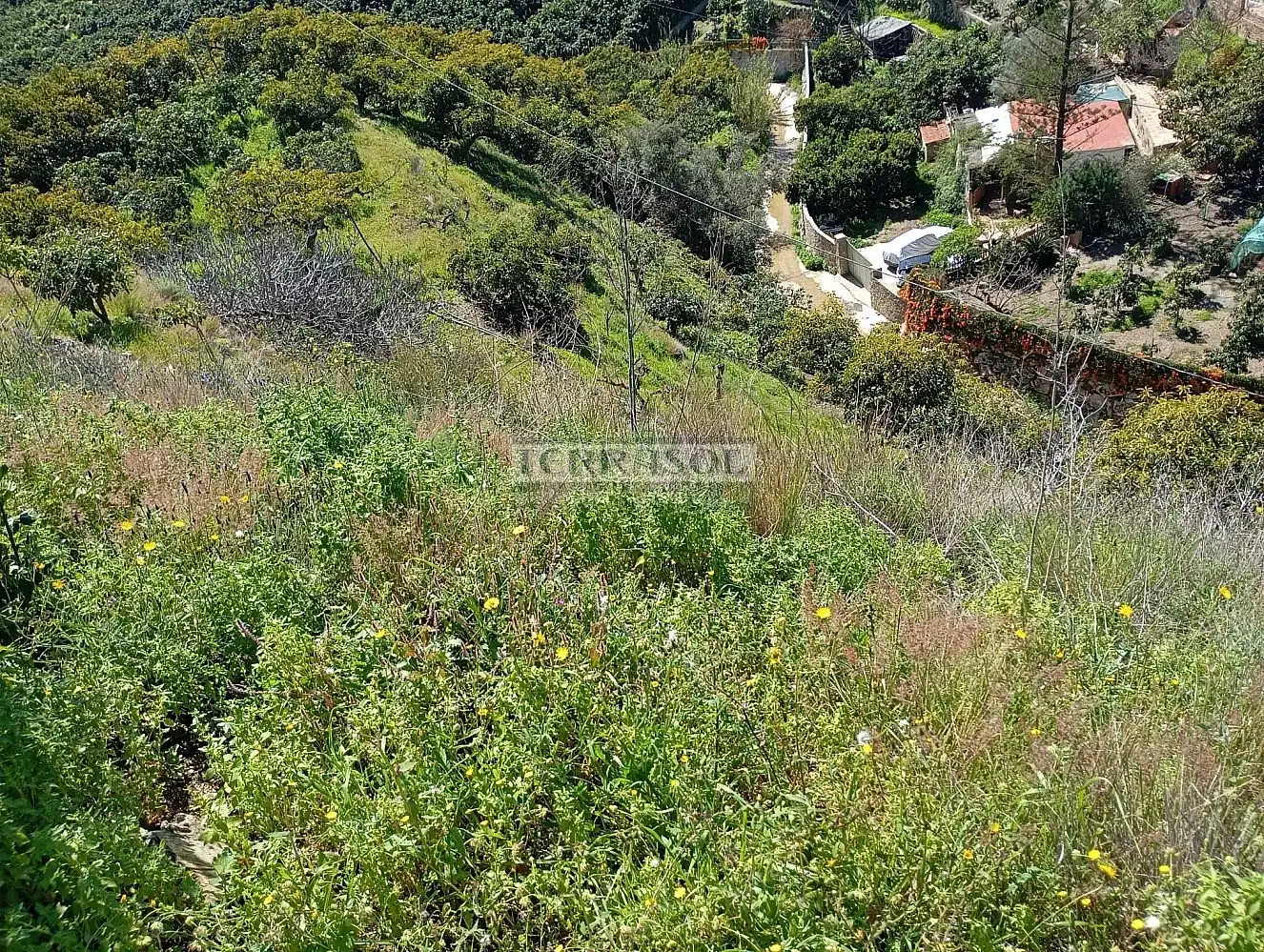 Grundstücke und Bauplätze zum Verkauf in Vélez-Málaga ciudad, imagen 10