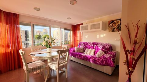 Foto 5 de Apartamento de alquiler en Avenida Avenida de Ricardo Bayona, 8, Playa Poniente, Benidorm