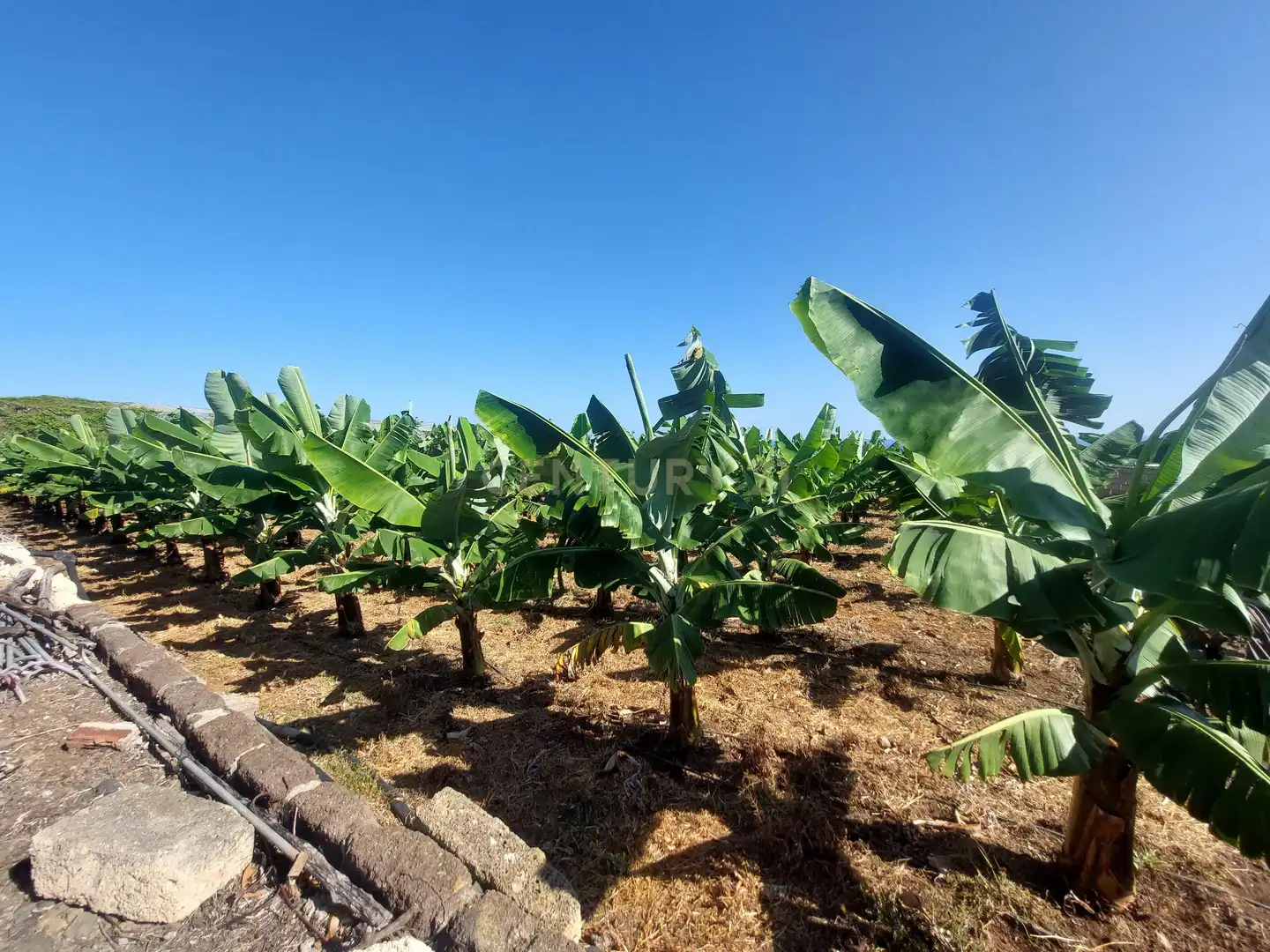 Land for sale in San Cristóbal de la Laguna