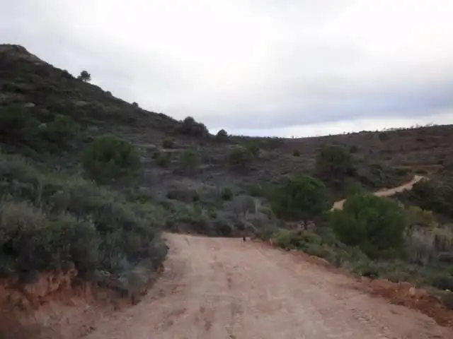 Terrenys i solars en venda a Paraje Vallota, imagen 14