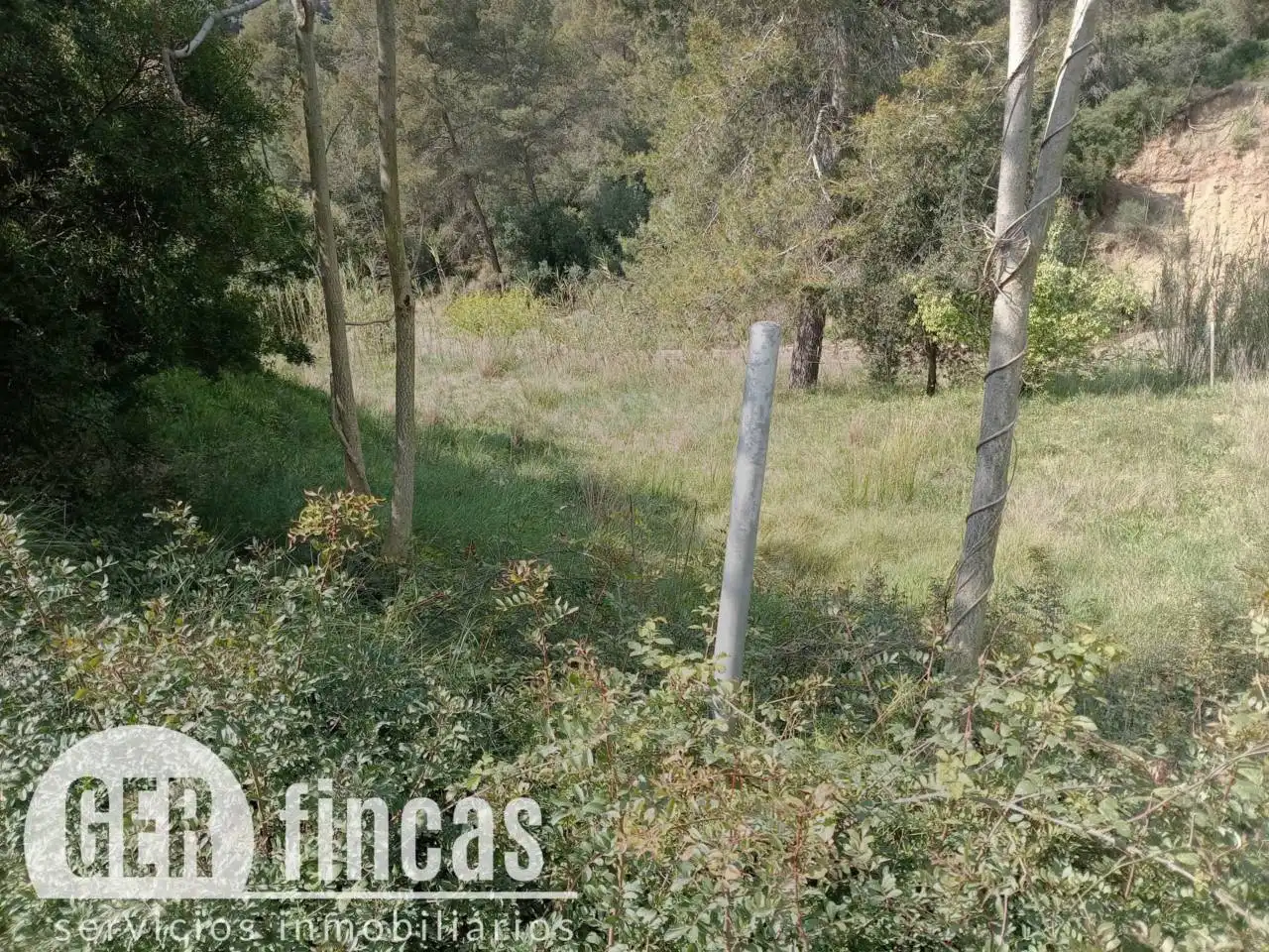 Rural land for sale in Calle Calera, imagen 4