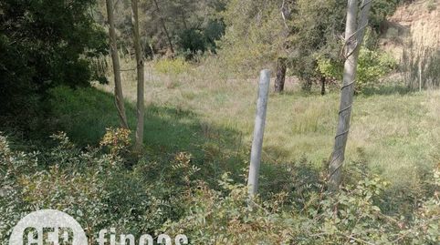 Agrícola NO EDIFICABLE, immagine 4