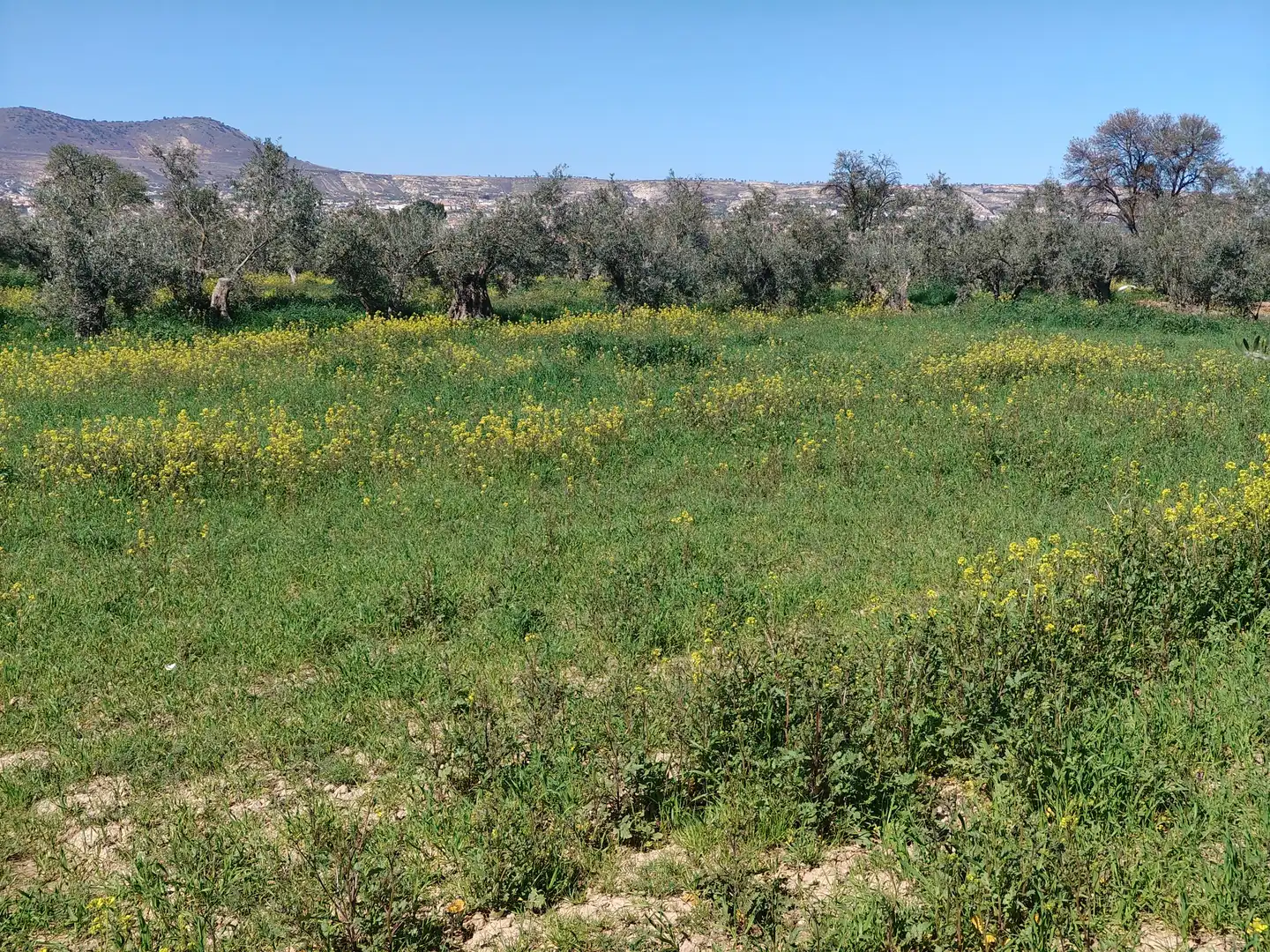 Chalet en venta en Camino Pachan 3S, imagen 46