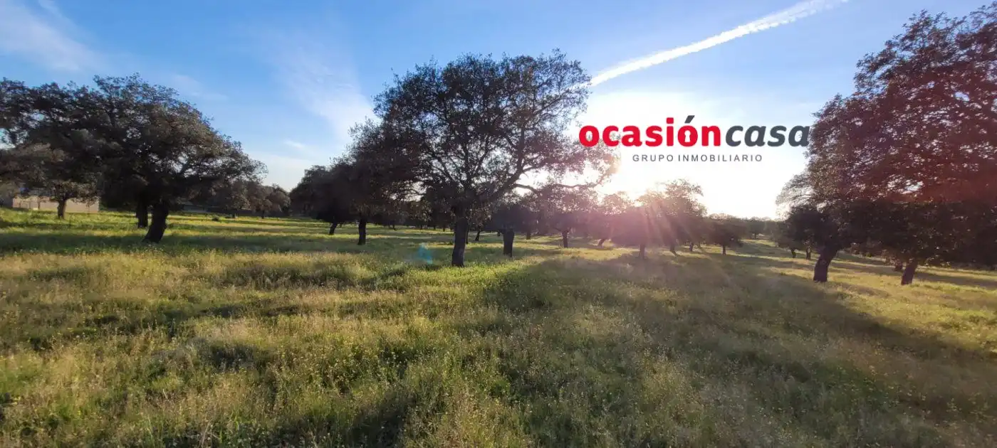 Casa rústica en venda a Pozoblanco, imagen 14