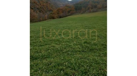 Foto 5 de Finca rústica en venda a Poligono 1 Paraje 89 Llaos, Farrera, Lleida