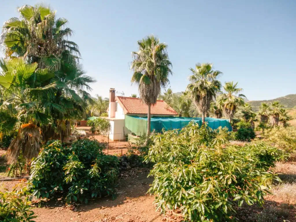 Garden of Houses for sale in Monda