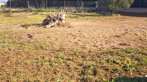 Parcela Rústica de 6.316 m2 en Felanitx  Zona Segona Volta, imatge 4
