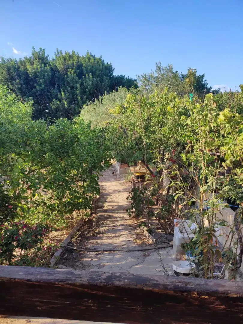 Casa rústica en venda a Arcos de la Frontera, imagen 17