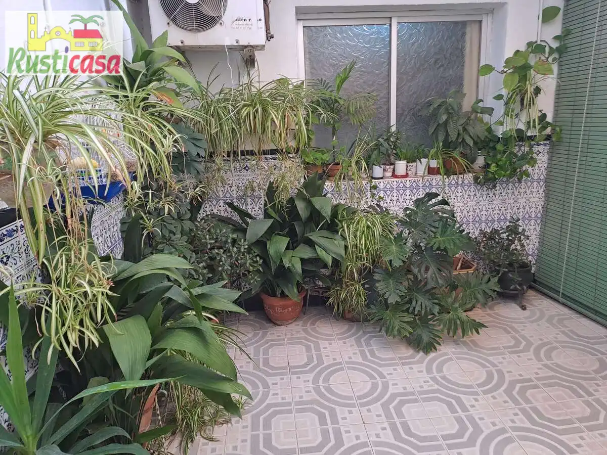 Casa con terraza en venta en Alamo, imagen 2