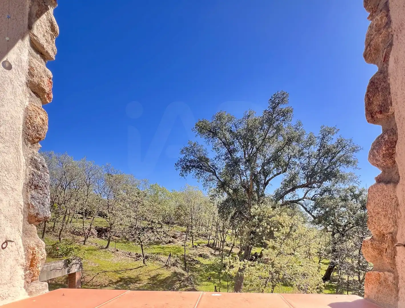 Casa o chalet en venta en Perales del Puerto con Calefacción y Terraza
