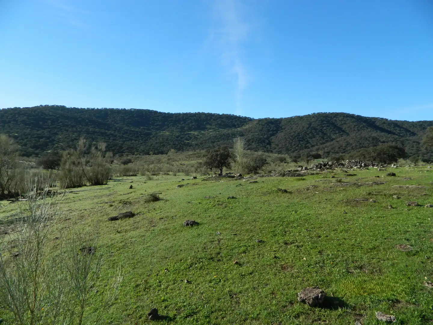 Rural land for sale in La Hispanidad - Verdeluz, imagen 32