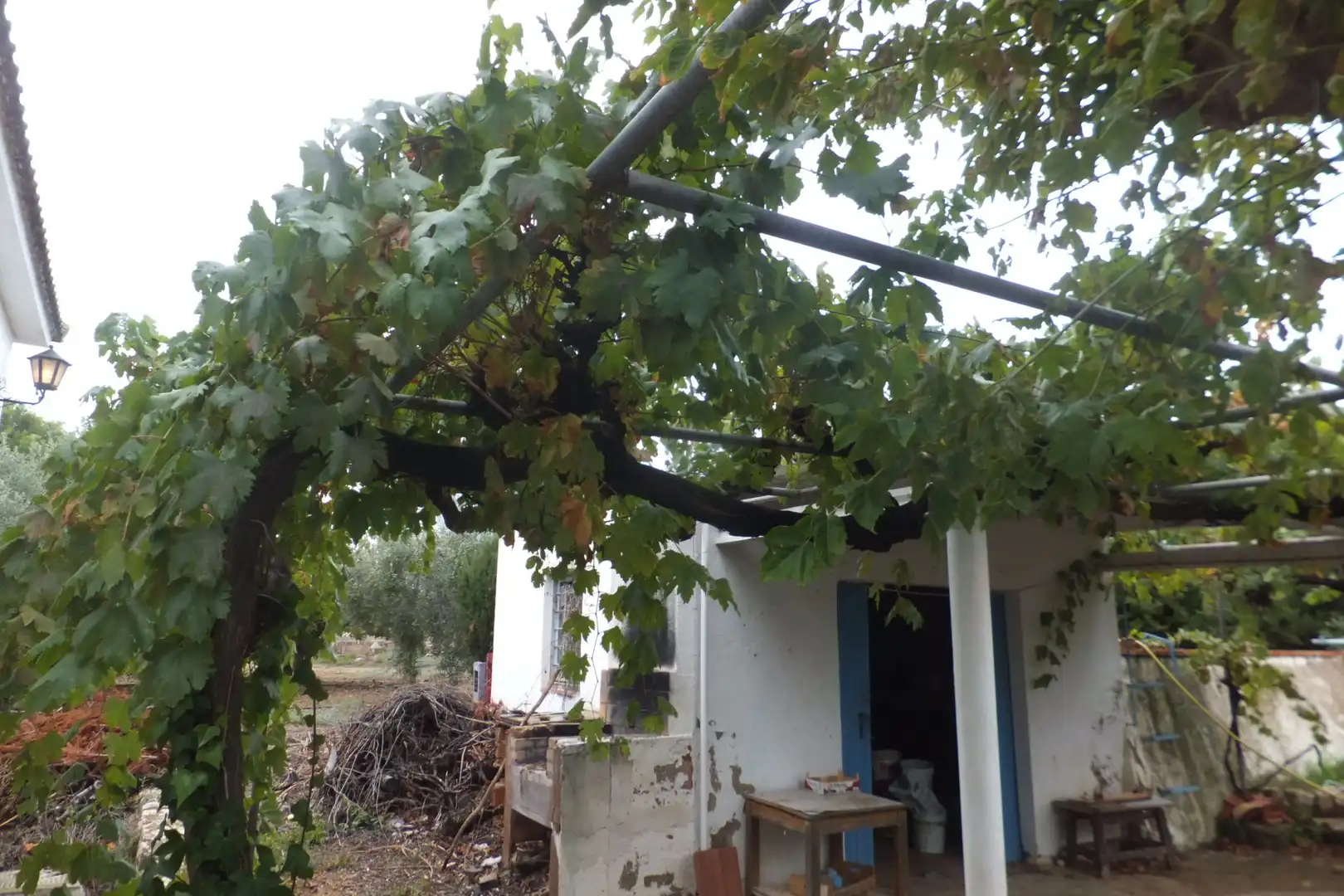 Terreno rústico en venta en Riudoms, imagen 29