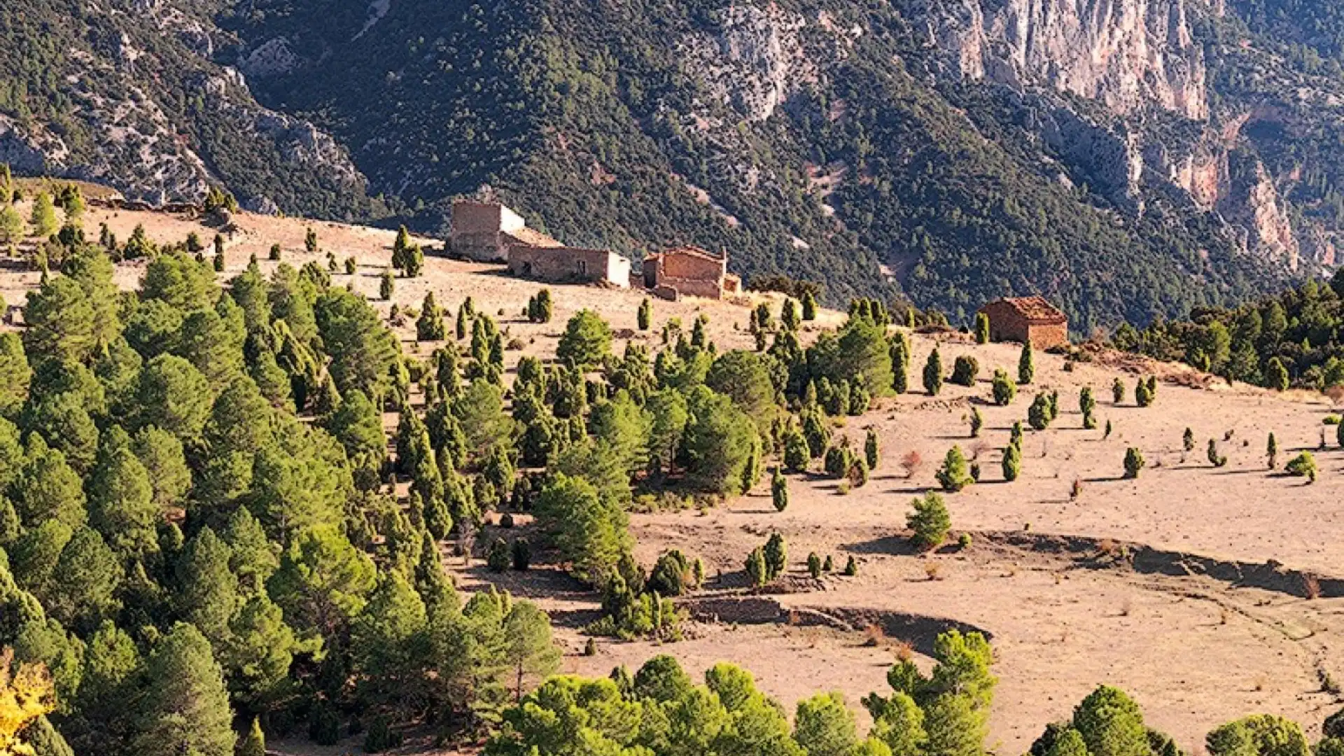 Land for sale in Vistavella del Maestrat, Vistabella del Maestrazgo