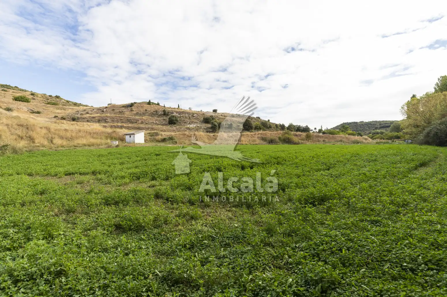 Terreny rústic en venda a Hueva, imagen 10