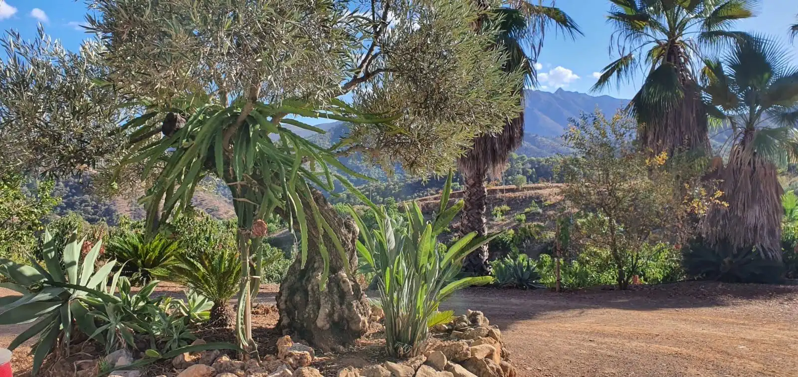 Jardí de Casa o xalet en venda en Guaro amb Aire condicionat, Jardí privat i Moblat