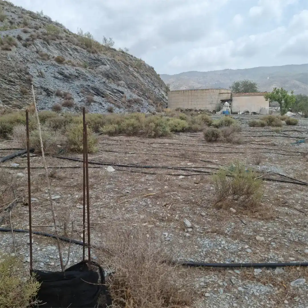 Finca rústica en venda en Motril