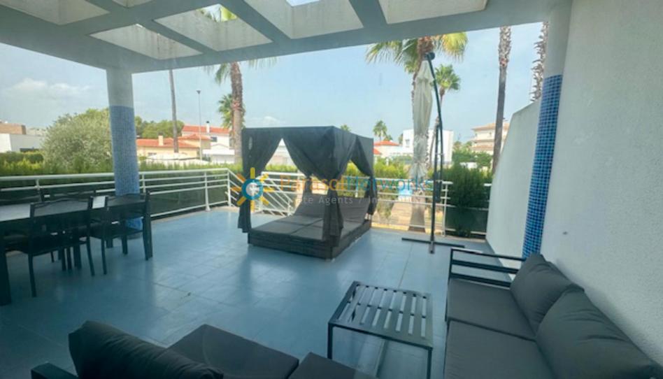 Foto 1 de Estudi de lloguer a Oliva Nova, Valencia