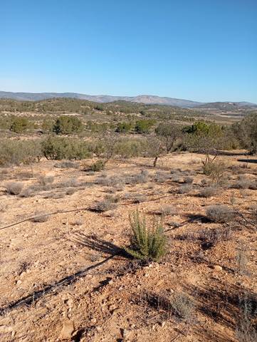 Terreno en Venta en Cañada