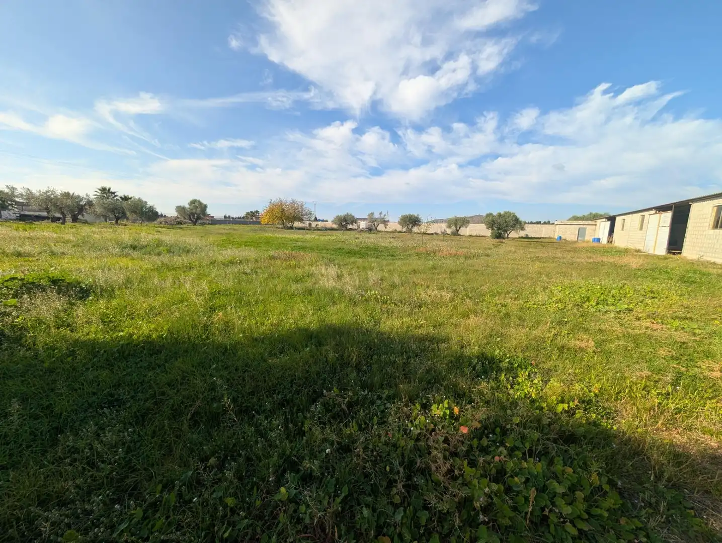 Terreno rustico in vendita a Partidas de interior - Zona Rústica, imagen 28