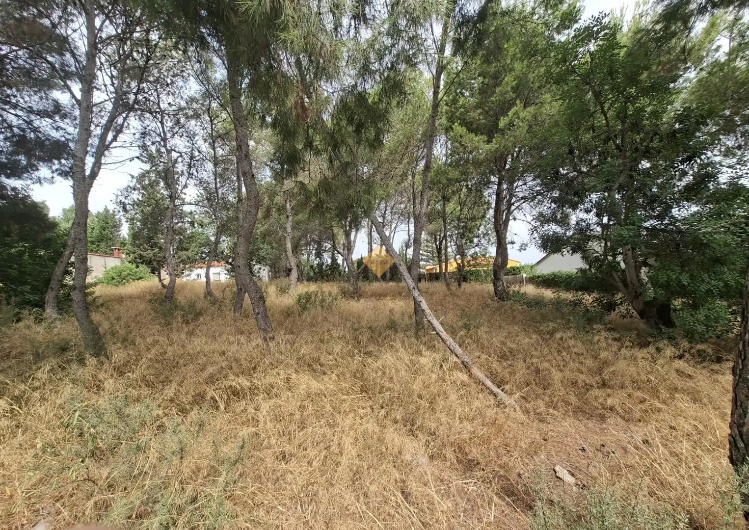 Terreno residenziale in vendita a La Conarda - Montesano