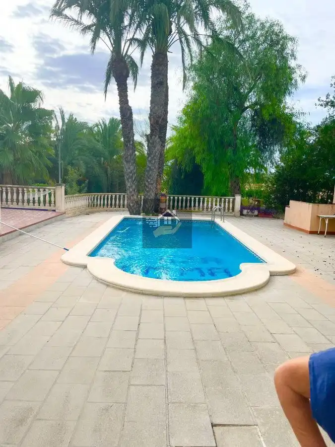 Piscina de Casa o chalet en venta en Molina de Segura con Terraza
