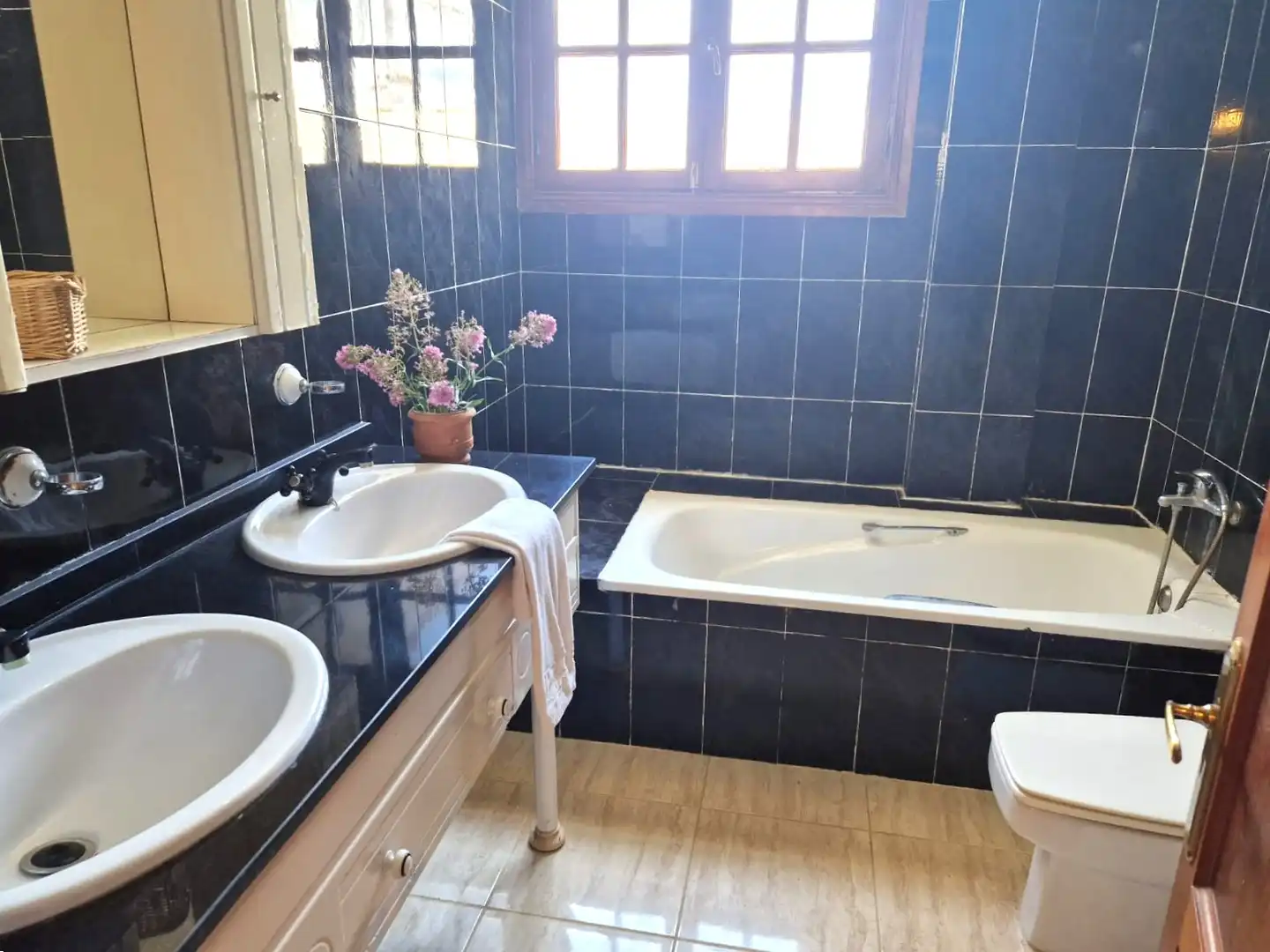 Bany de Casa o xalet en venda en Las Palmas de Gran Canaria amb Jardí privat, Terrassa i Balcó