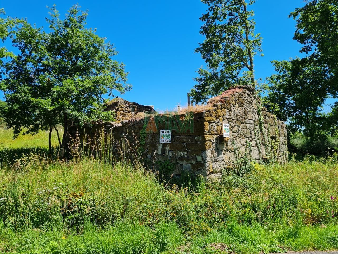 Exterior view of Country house for sale in Amoeiro  with Heating and Private garden